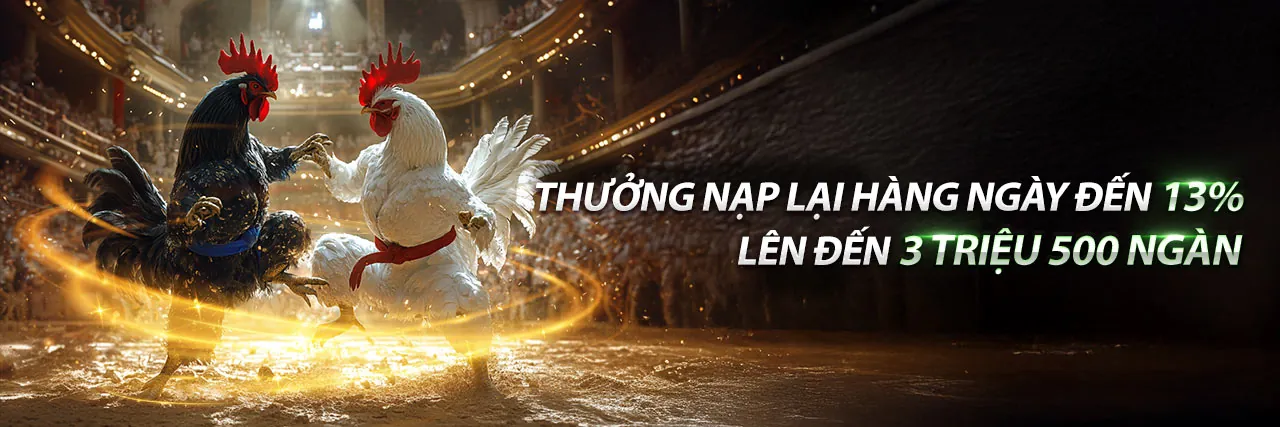 Đá gà trực tuyến kịch tính tại 88m trang chủ chính thức
