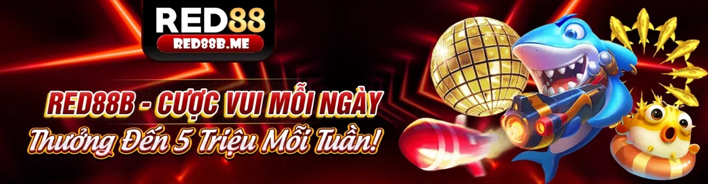Hỗ trợ khách hàng 24/7 của 88m