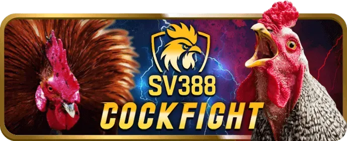 Cá cược tennis 88m