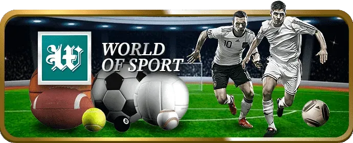 Cá cược bóng rổ 88m
